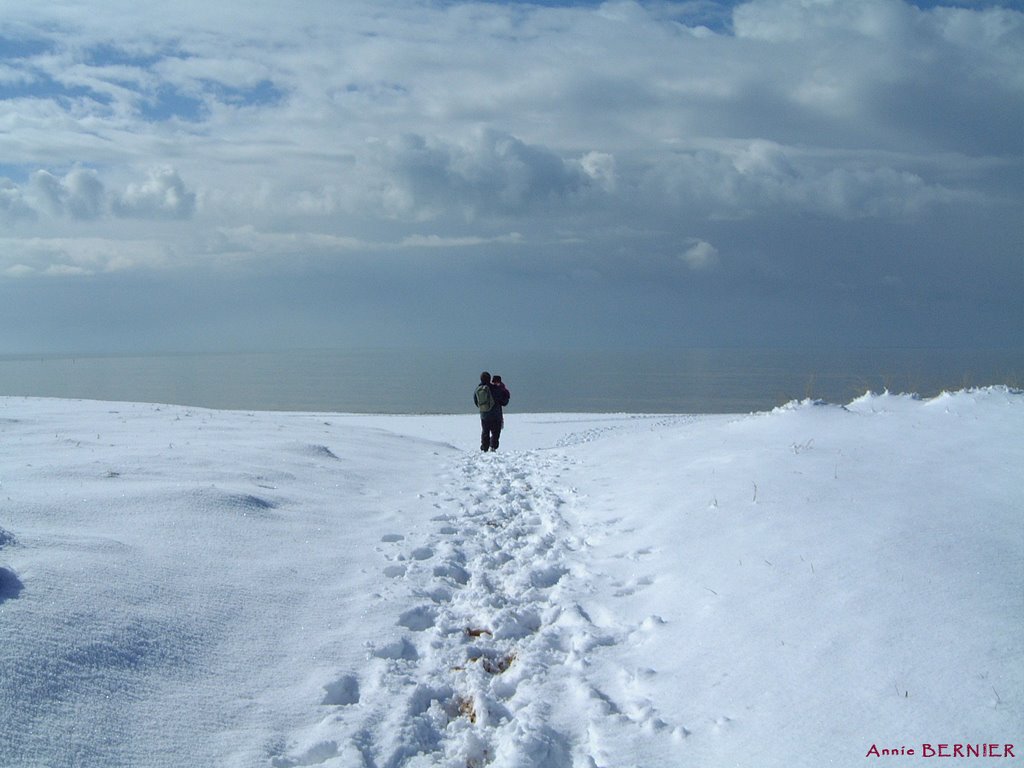 Entre neige et mer by Annie Chaigneau Bern…