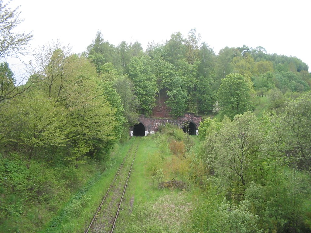 Widok z wiaduktu na tunele wybudowane w latach 1907-12 by naido12345