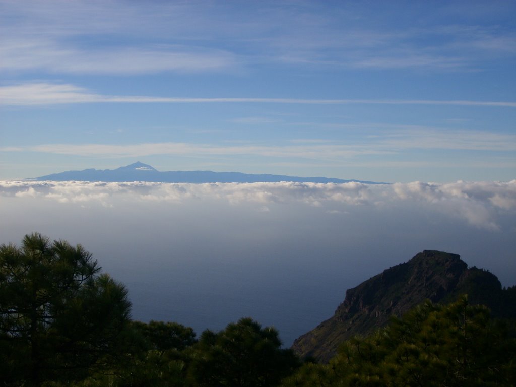 Roque Faneque y Teide desde Tamadaba by Josu-e