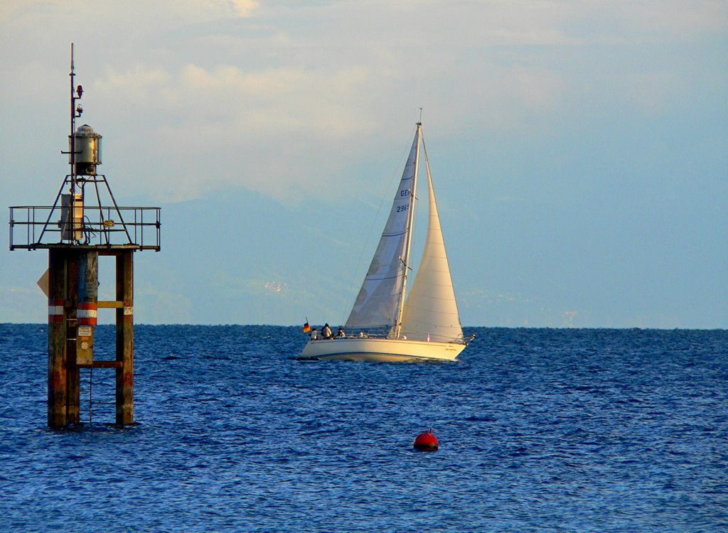 Segler am Hörnle Seezeichen by herba