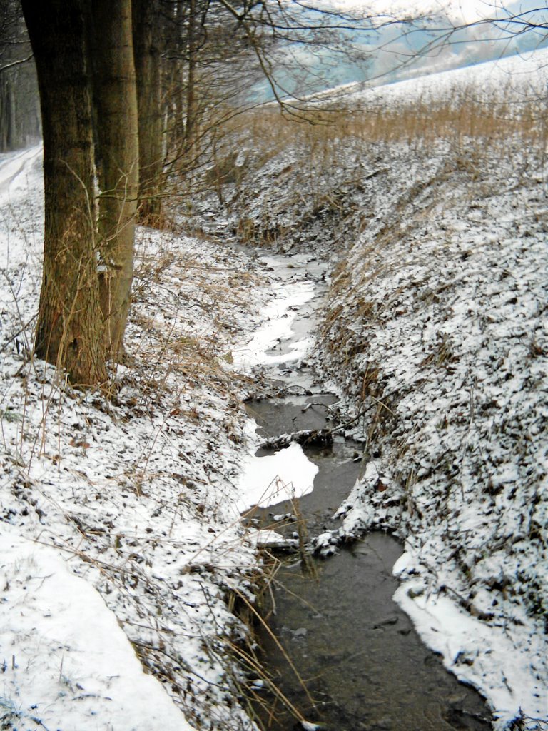 Winter am Hainbornweg by Karl-Hans Vollrath