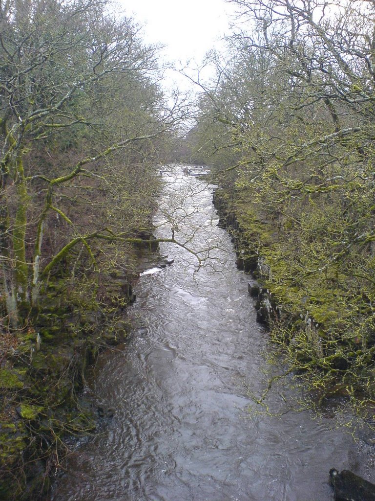 River Wear near Stanhope by Keith Ruffles