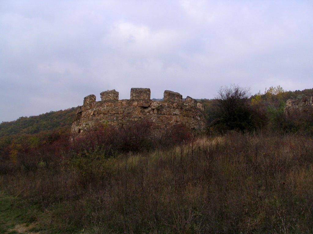 Pilisborosjenő, 2097 Hungary by zolikonta