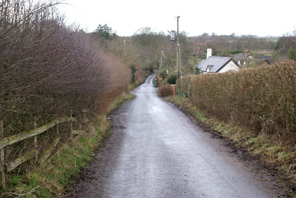 View down Lodge Lane by Bigdutchman