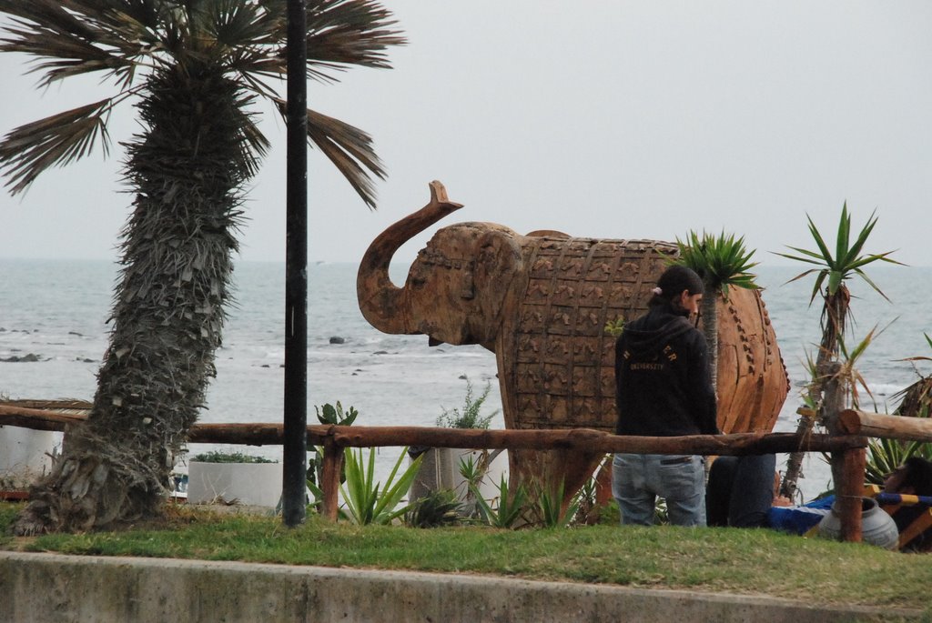 Lido di ostia Elefante ligneo vicino al porto turistico by emilliriz