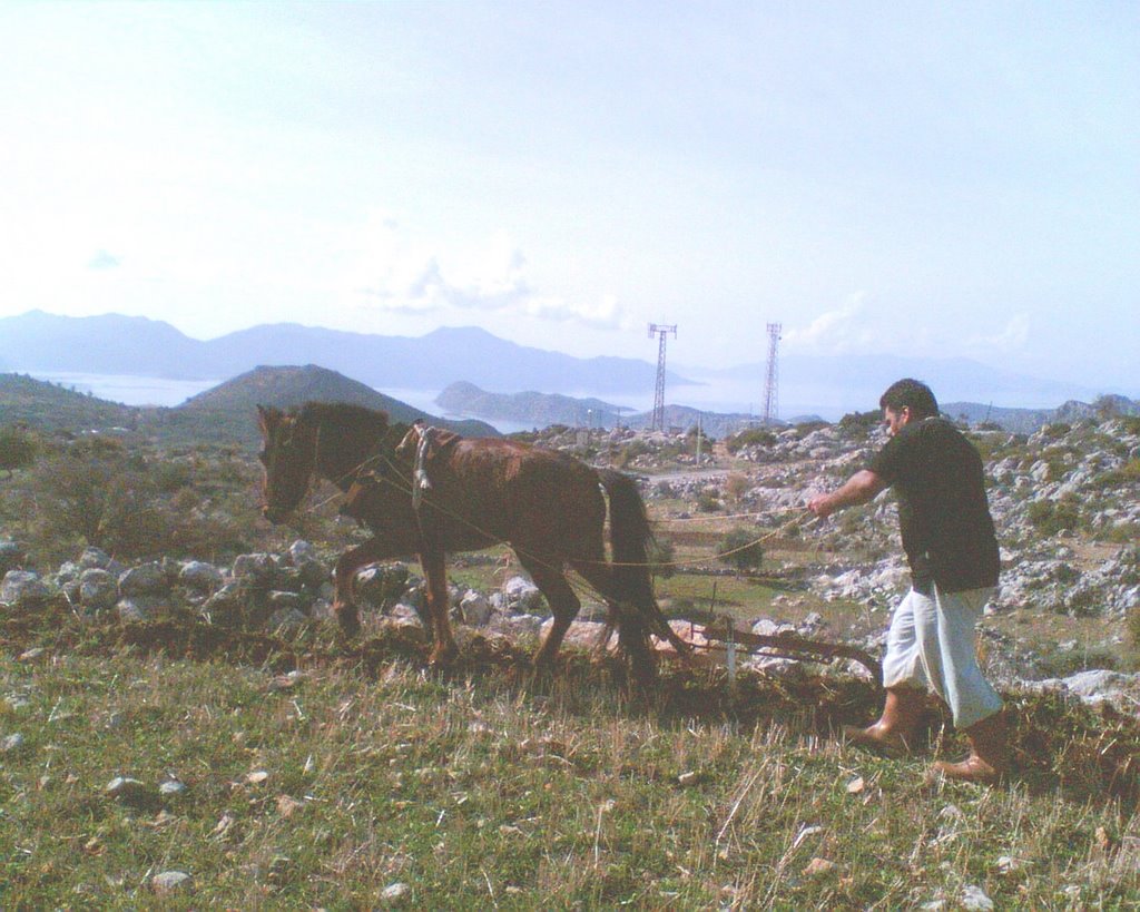 SÖĞÜT-YOKUŞBAŞI by BEŞER ÖZTAŞ