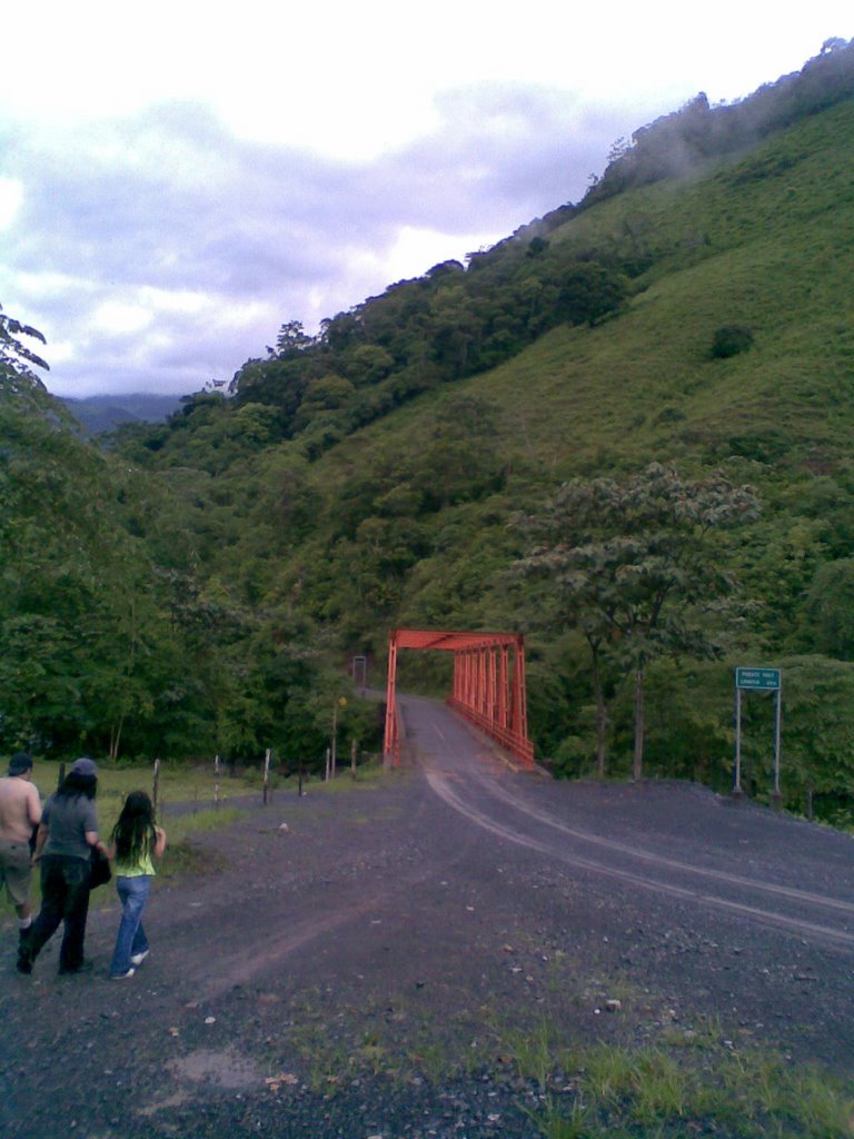 Puente camino a Pozuzo by Marco Gamarra Galindo