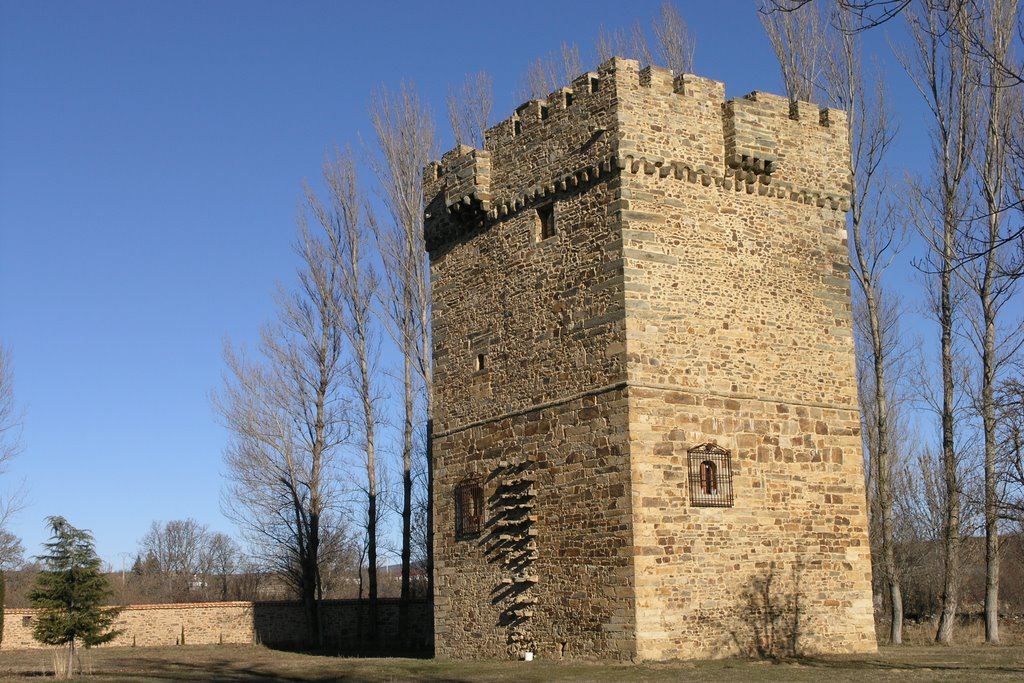 Torreón de los Osorio,Turienzo de los Caballeros (León) by masleon