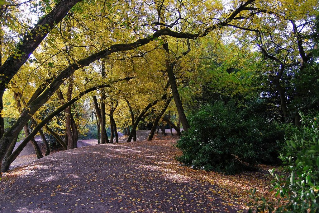 Automne dans les parcs .fg by Giraudon Francis