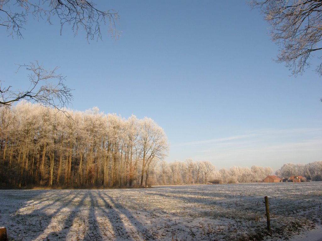 Buitengebied by margriet wienecke