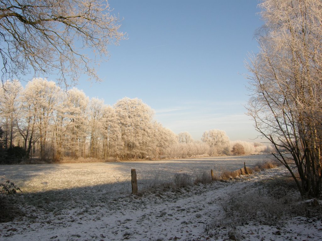 Buitengebied by margriet wienecke