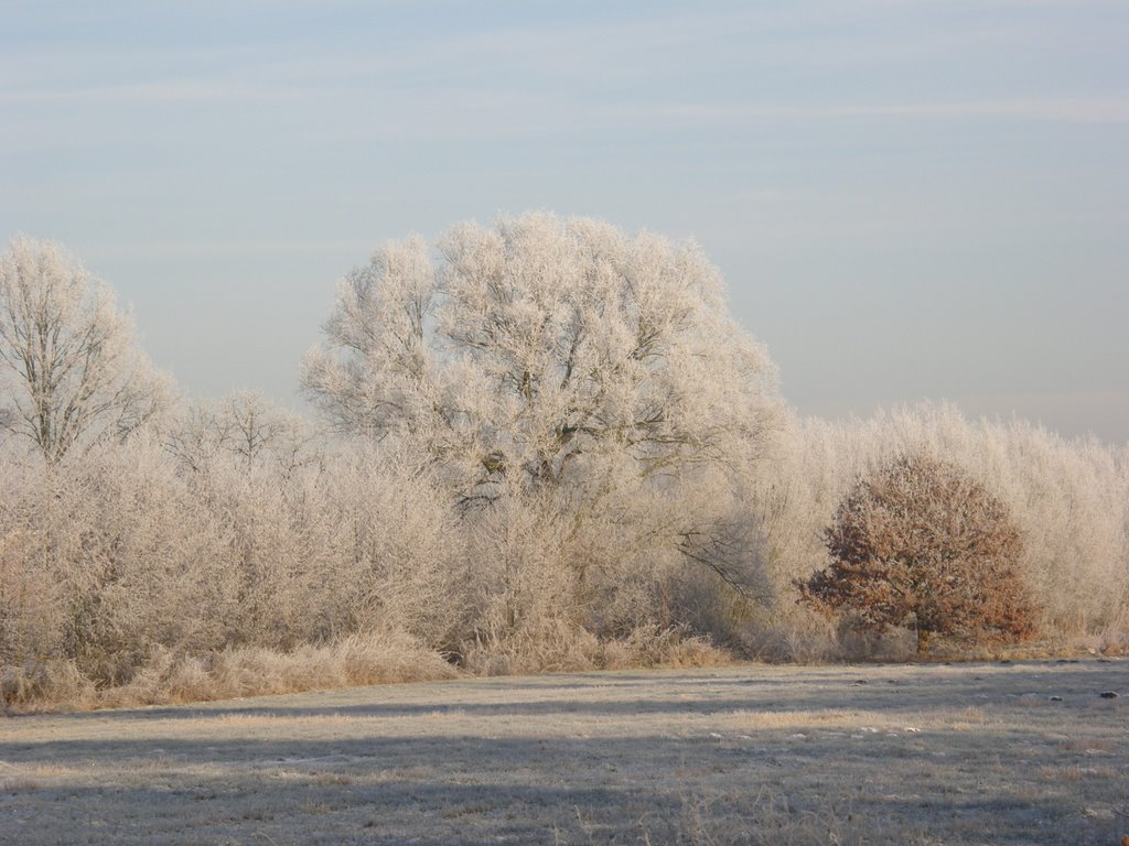 Buitengebied by margriet wienecke