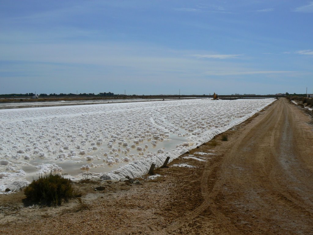 Saltpan, Ria Formosa, Algarve. by Clive Pople