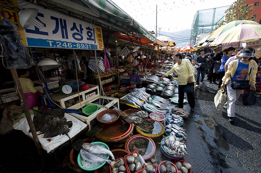 Jagalchi Market by hiro_c55