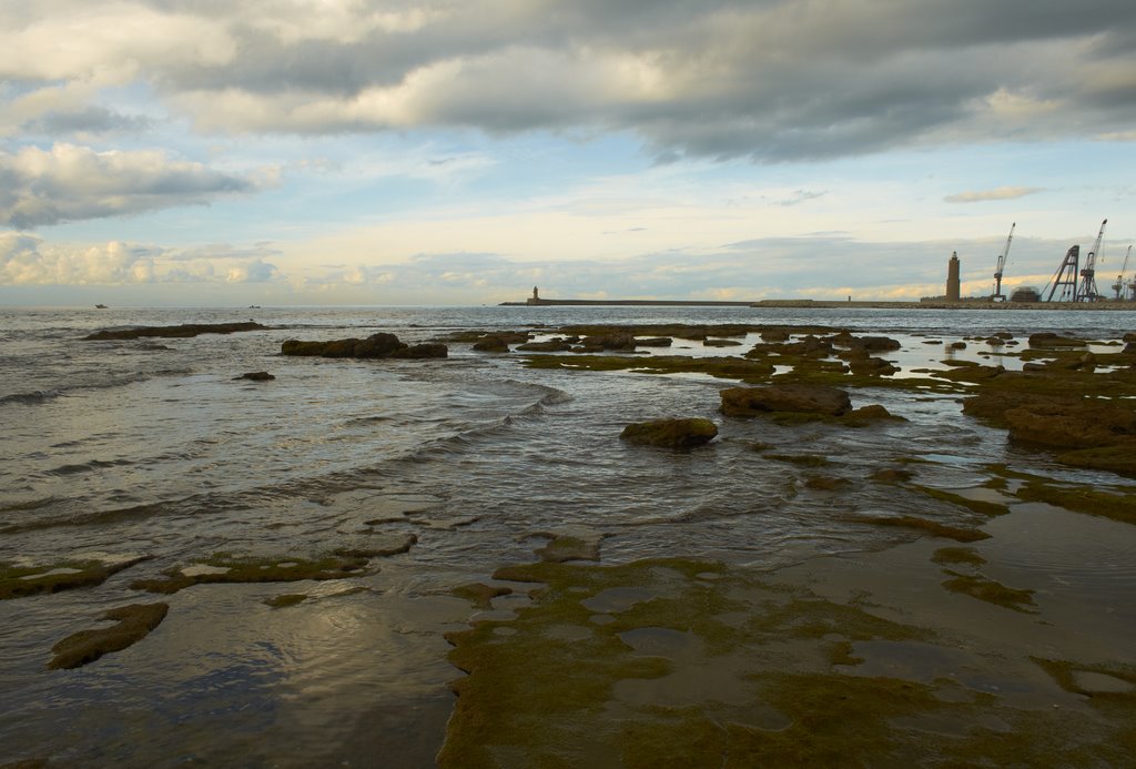 LIVORNO - Il faro e il molo nòvo dalla terrazza Mascagni by sandokan_it