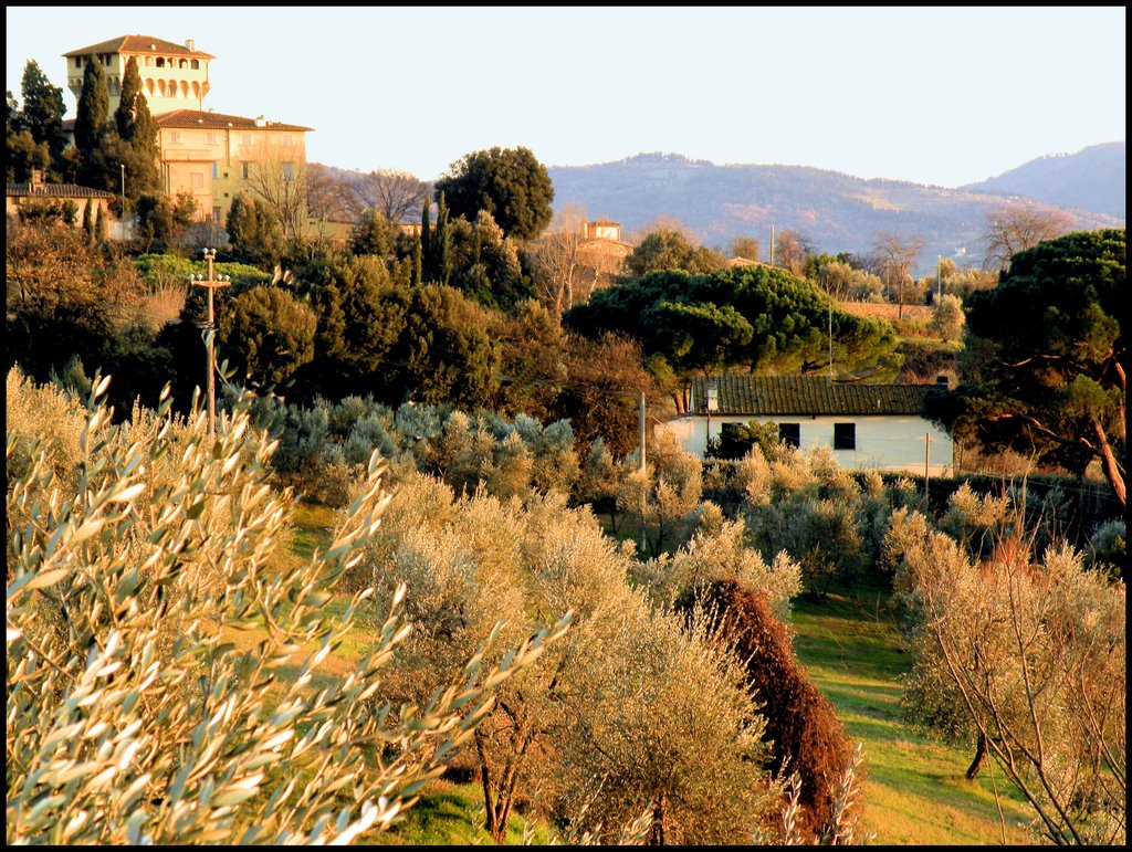 Fattoria di Maiano...© by leo1383 by leo1383