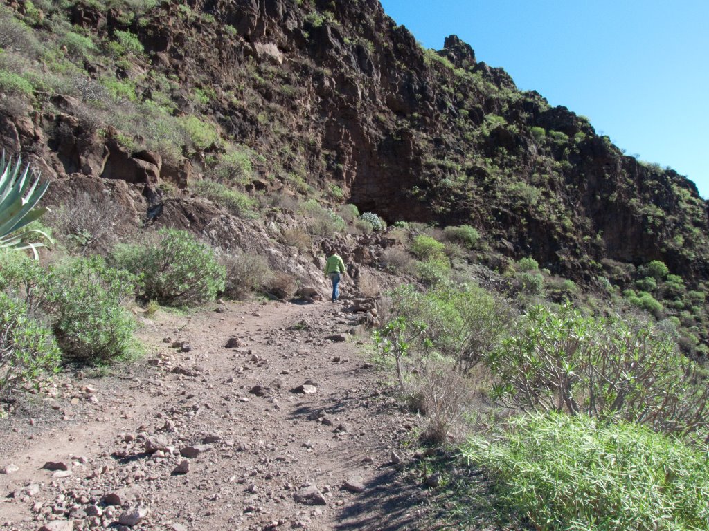 Camino hacia la Fortaleza de Ansite by a3093