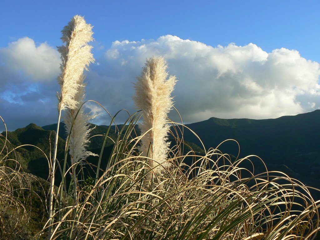 Montes de Anaga by Gianni Ciccocioppo