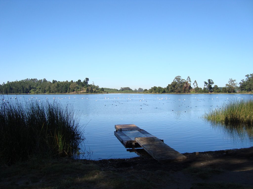 Laguna San Pedro by Andrés Cubillos