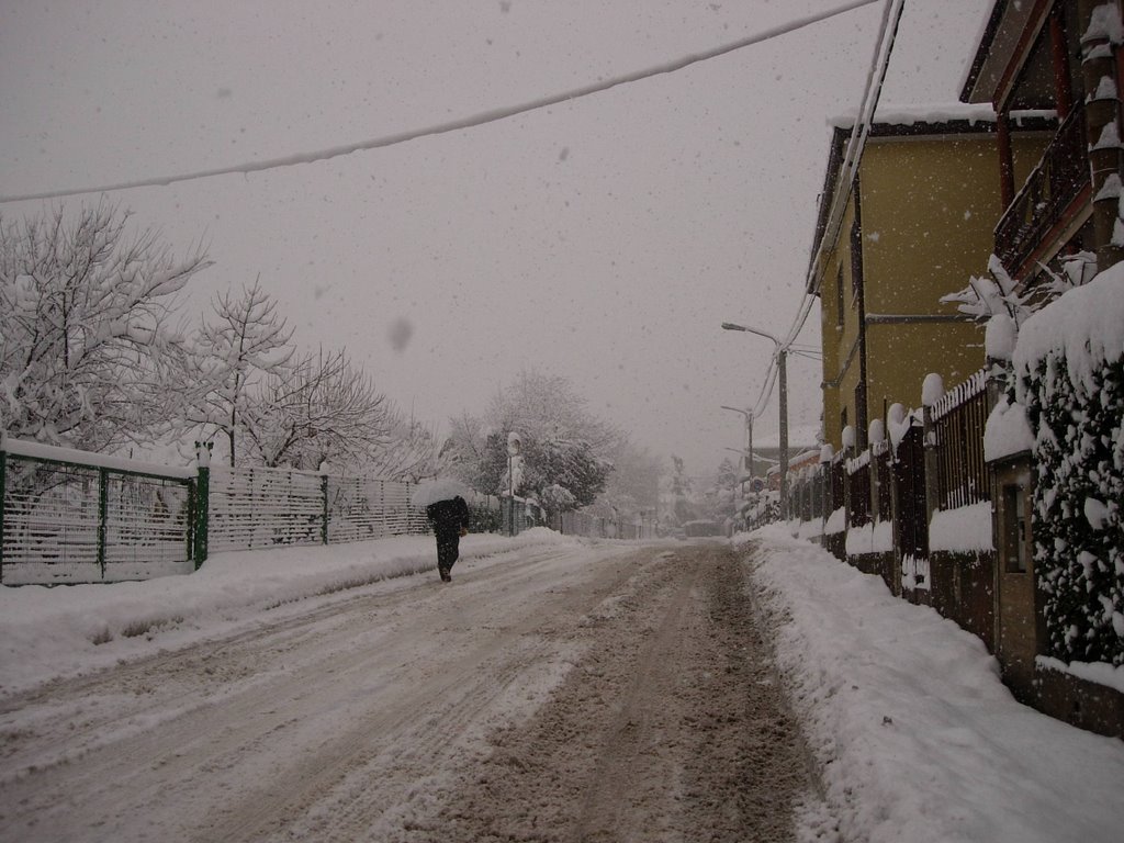 Nevicata - 7 Gennaio 2009 by DreamCatcher88