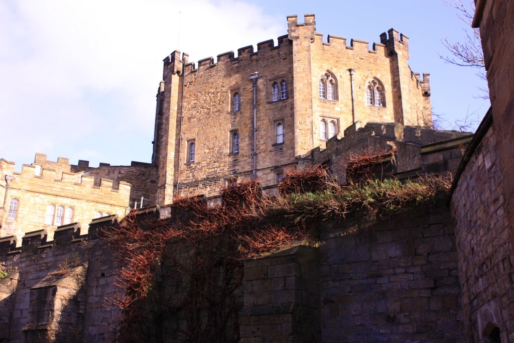 Durham Castle by Albert Griffiths