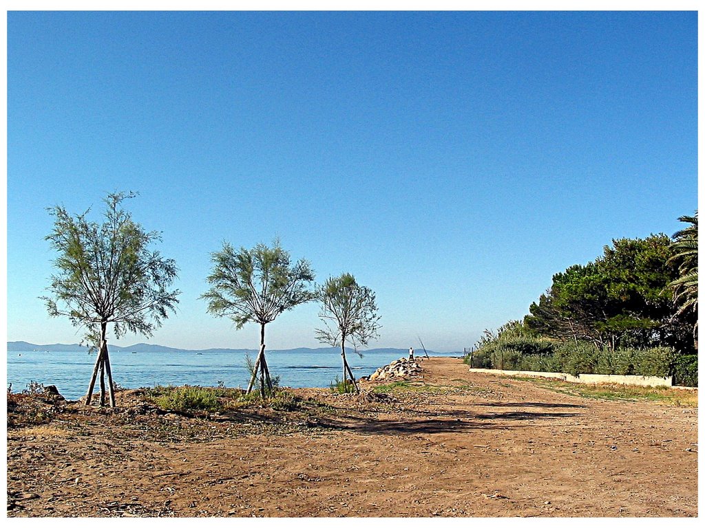 Bord de mer - L'Ayguade, Les Salins d'Hyères by François Reynaud