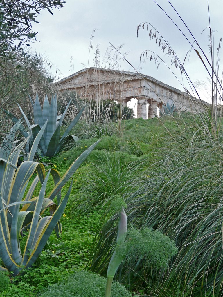 Temple de Segeste by Vouvant