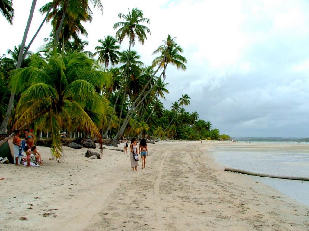 Unnamed Road, Tamandaré - PE, 55578-000, Brazil by ManueldaCosta