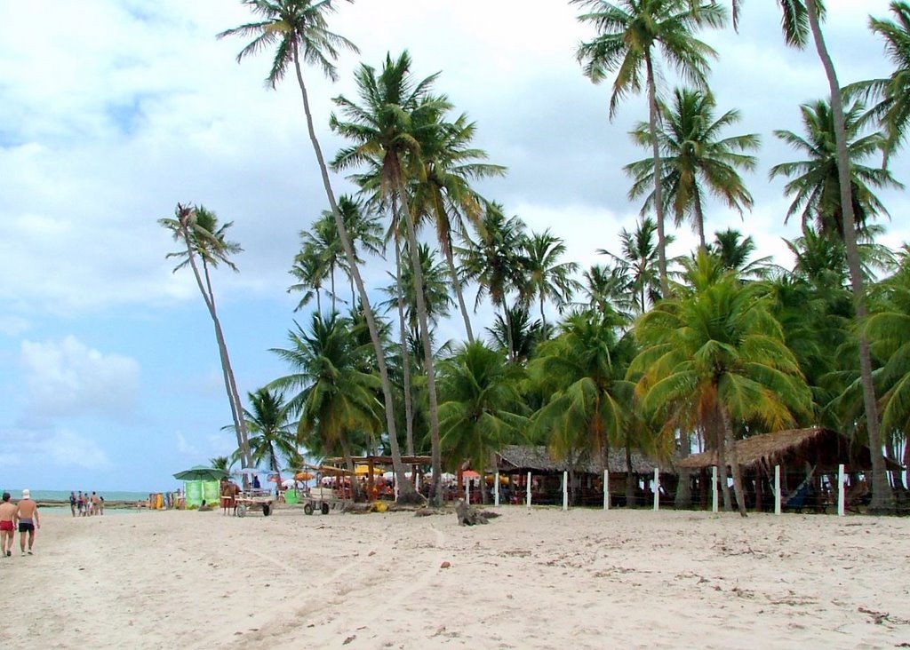 Tamandaré - State of Pernambuco, 55578-000, Brazil by ManueldaCosta