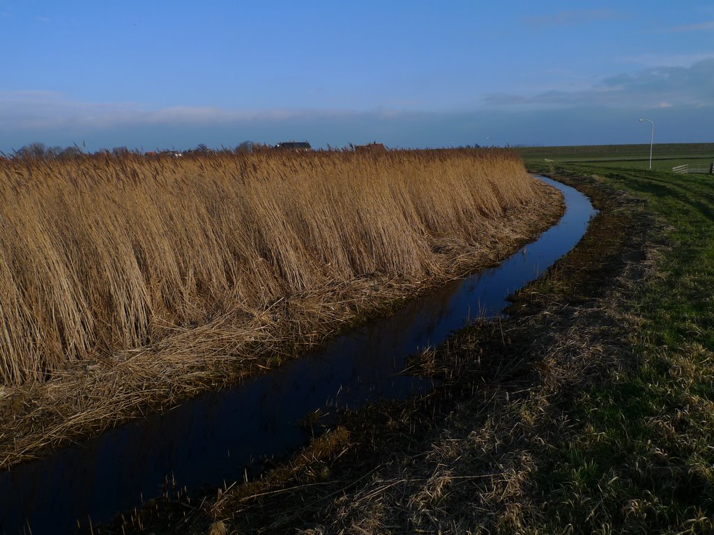 Rietveld, bij Schardam by Colin Brace