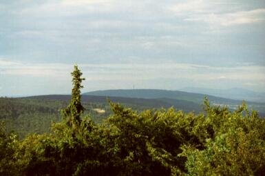 Hallgartener Zange Blick vom Turm by jungeuskoelle