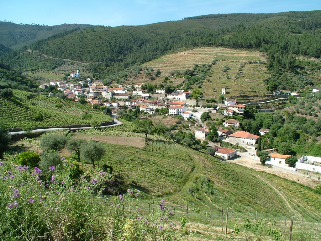 Covas do Douro by José João Roseira