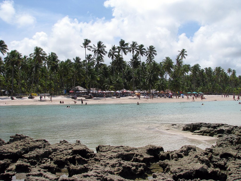 Vista da Praia dos Carneiros - PE by Bruno Sanson