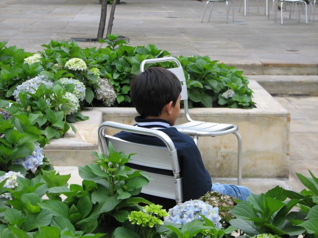 Jardines Casa Botero by morjuela