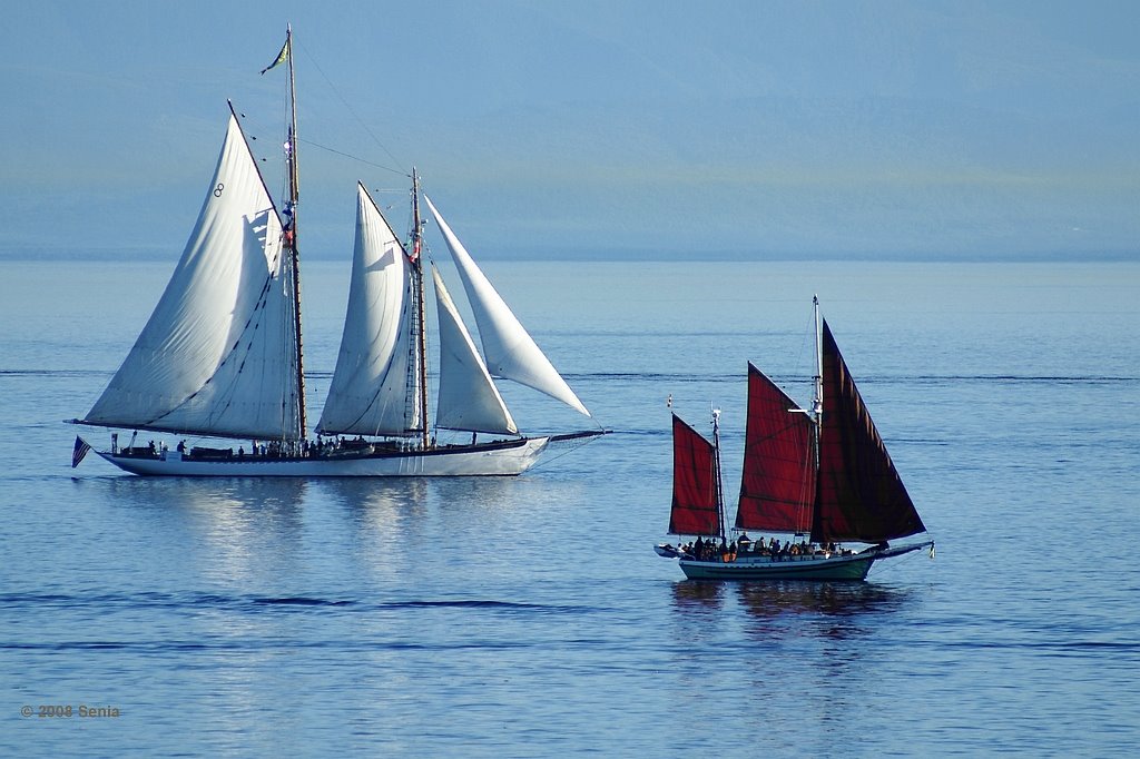 Tall Ship Festival by Senia IS