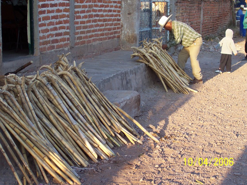 Vendedor de mulas para la caminata by Carlos Mariscal