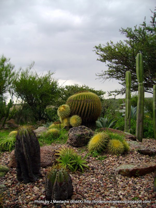 México - San Miguel de Allende, Guanajuato by Jorge Mastache