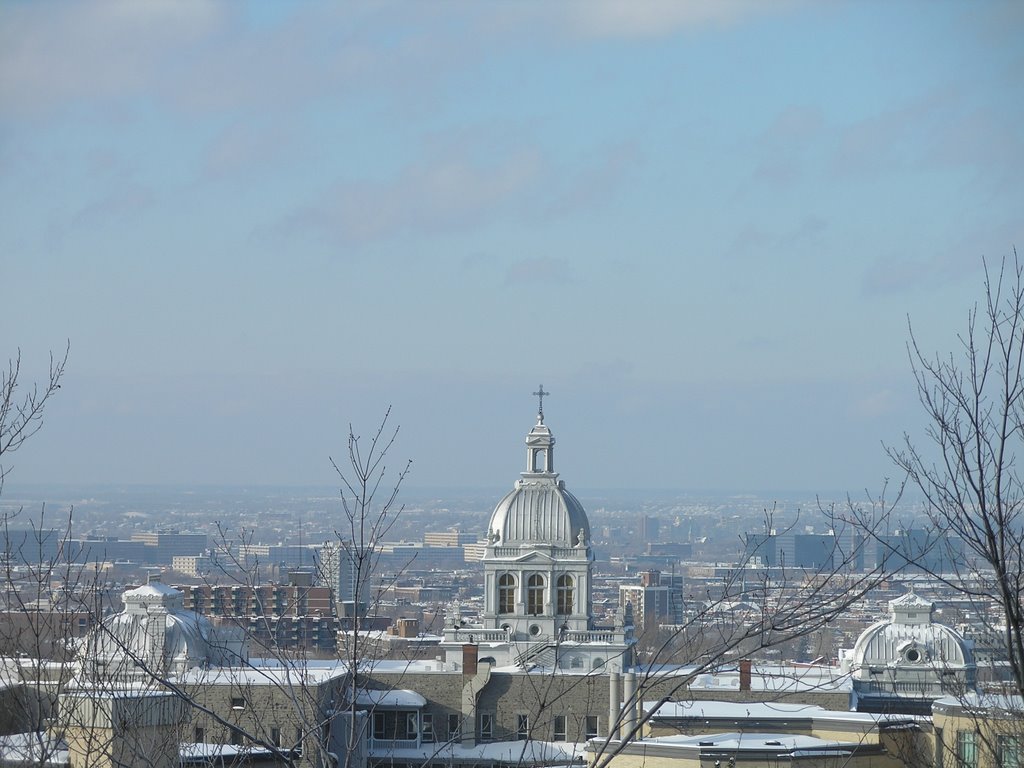 View from UDM faculty of music by Phillip Addis