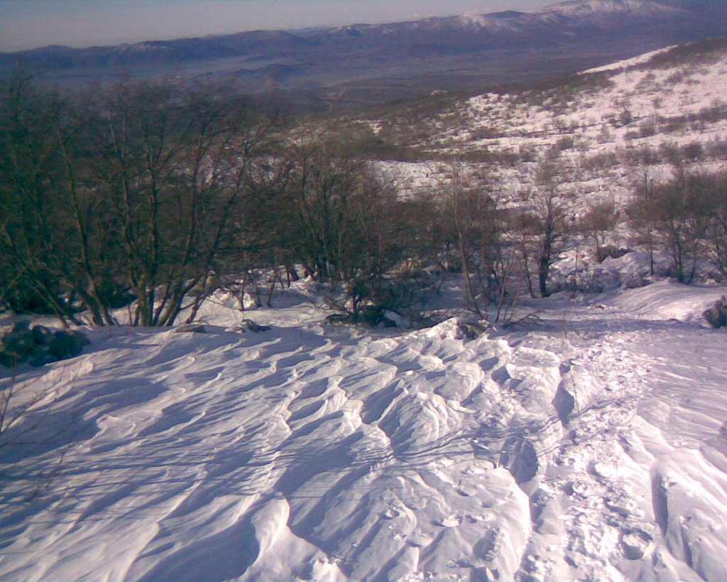 Čudni Smet by Ante Maleš