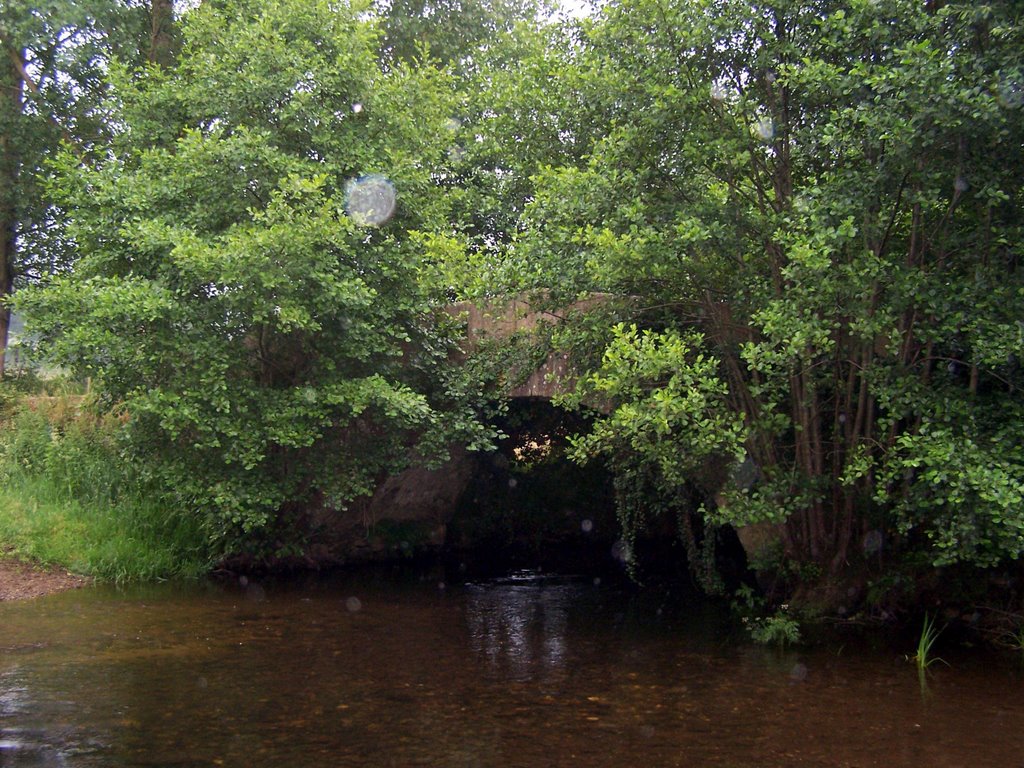 Puente sobre el río Iso en Ribadixo de Baixo by jetxea