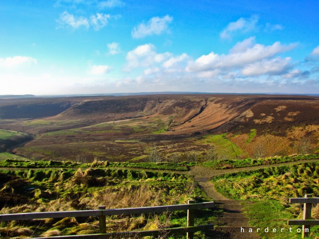 North York Moor national park by Bakos ART