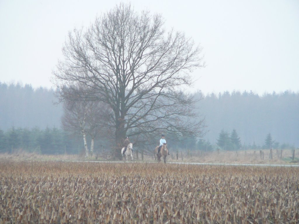 Baum im Nichts by r.jekat