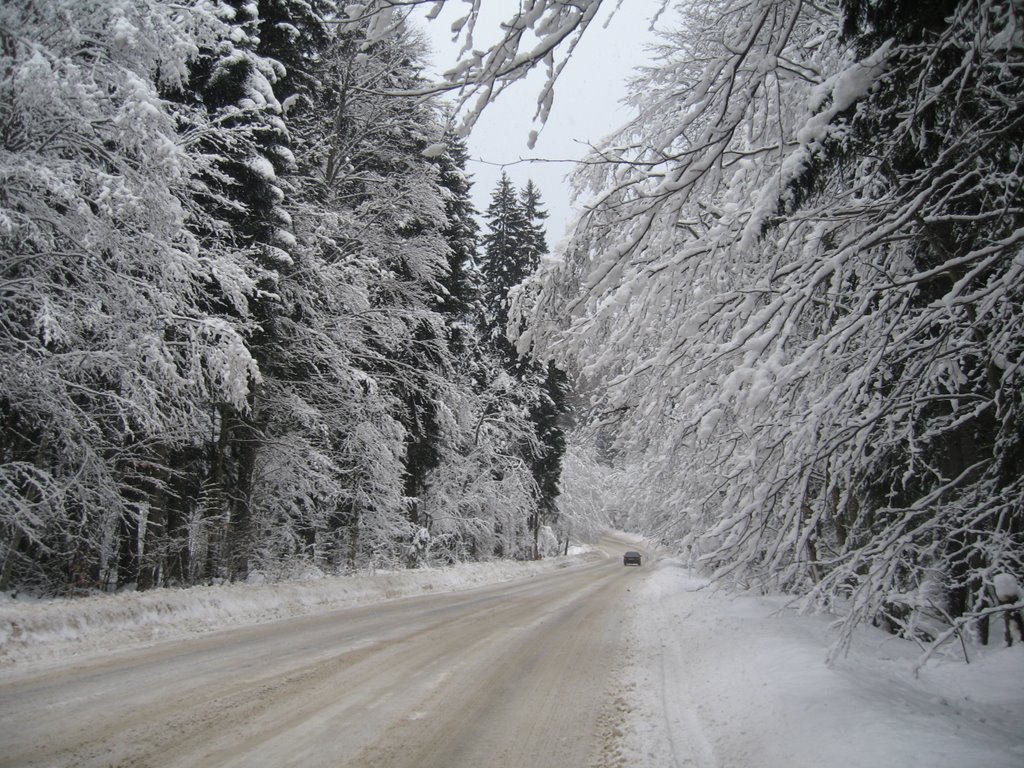 Winter Road to Dombai, Caucasus, Russian Federation 2009 by vad-ak vad