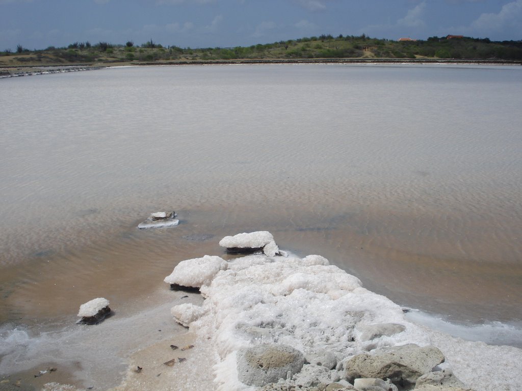 Salt, Jan Thiel Lagun by Esther Baks