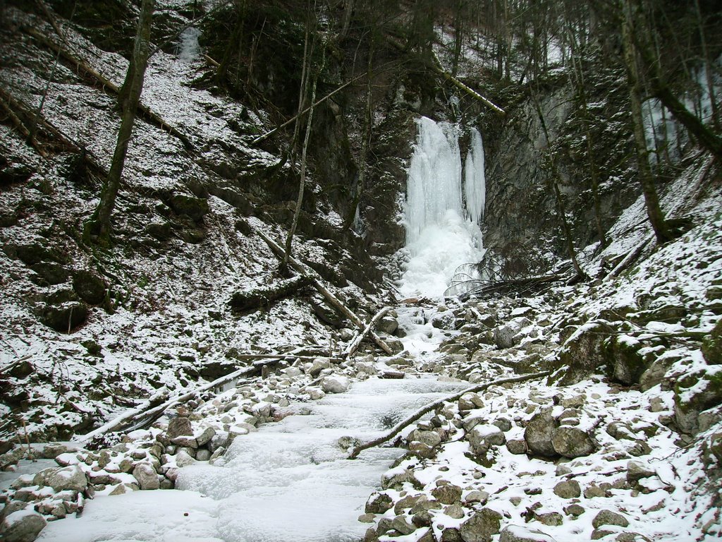 Der große Totenmannsbachfall im Winter by Wolfgang Küfner