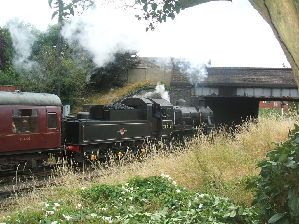 Riddles Standard 2MT Class 2-6-0 No 78019 Leaving Loughborough Great Central Station. by Charles James