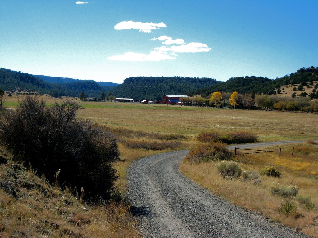 Springerville, AZ, Area by casky58