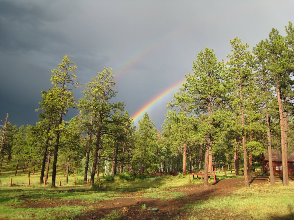 Springerville, AZ, Area by casky58