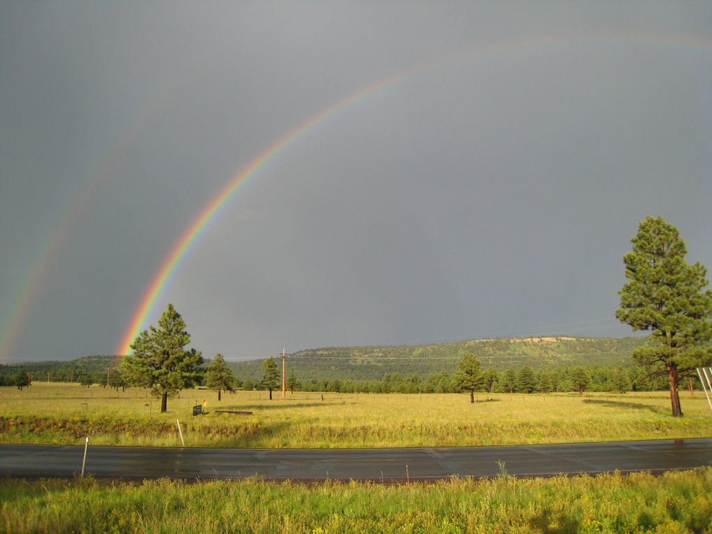 Springerville, AZ, Area by casky58