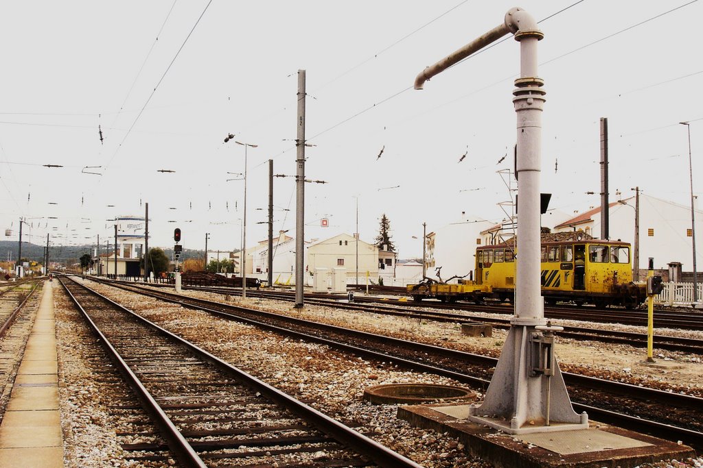 Estação do Rossio/Abrantes by HortaF